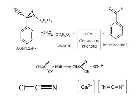 Синильная кислота реакции. Бензальдегид с синильной кислотой. Бензальдегид и синильная кислота реакция. Камфора с синильной кислотой. Взаимодействие бензальдегида с синильной кислотой.
