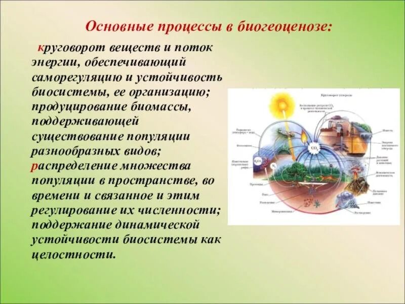 Разнообразие биосистем