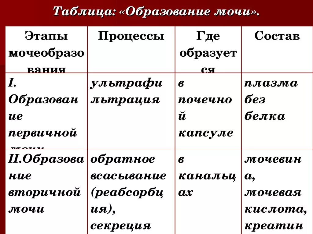 Какие структуры участвуют в образовании мочи. Этапы образования мочи схема. Образование первичной мочи таблица. Таблица по биологии 8 класс этапы мочеобразования. 3 Фазы образования мочи.