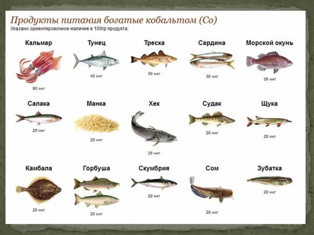 В каких продуктах содержится большое количество меди. Продукты богатые кобальтом. Кобальт микроэлемент. В каких продуктах содержится кобальт. Вскаких продуктах содержится кобальт.