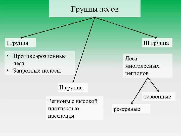 Группы лесов. Три группы леса. Группы лесов лесного фонда. Три группы лесов России. Среда отнесенная к группе 1