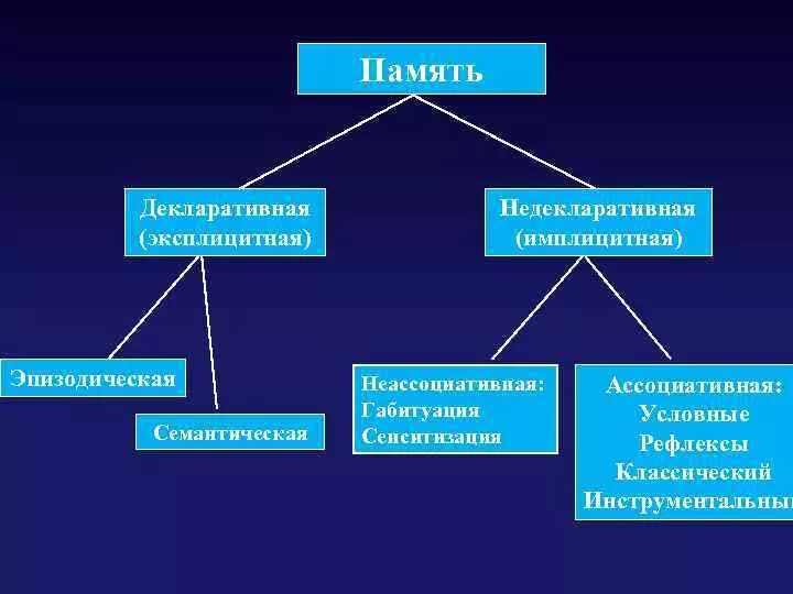 Эксплицитная память. Семантическая и эпизодическая память. Имплицитная и эксплицитная память. Декларативную (эксплицитную) память. Имплицитная и эксплицитная обучаемость.