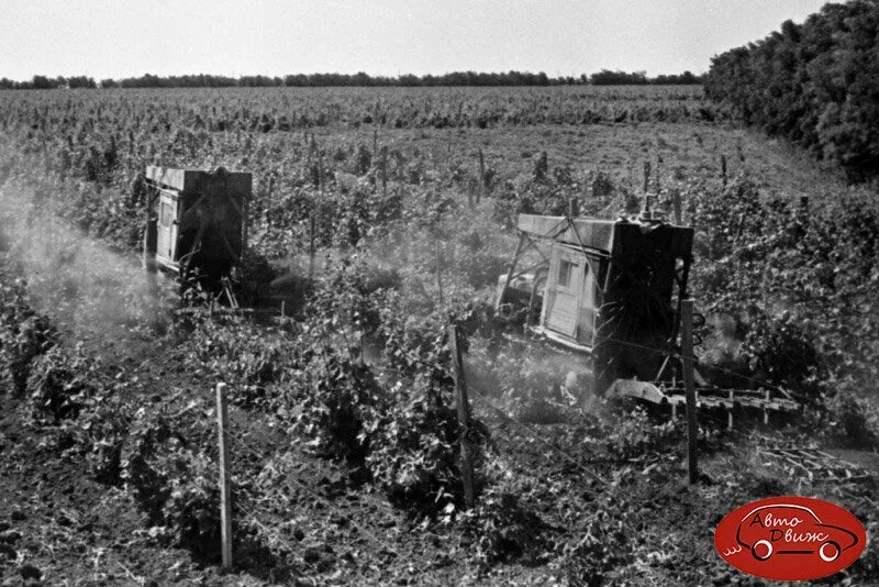 Фото Николая Туганова с 1976 по 1991 год. Фотография из альбома Фотограф Николай