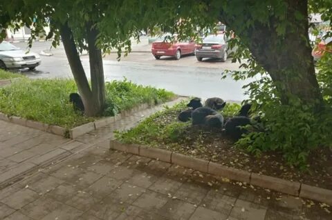 Продолжи новости