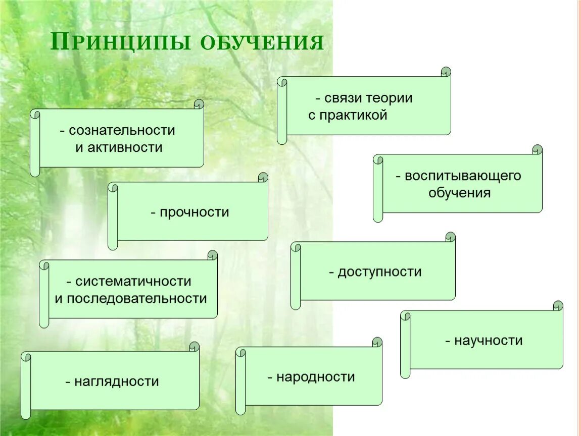 3 правила обучения. Какие бывают принципы обучения. Перечислите принципы обучения. Принципы обучения в педагогике. Базовые принципы обучения.