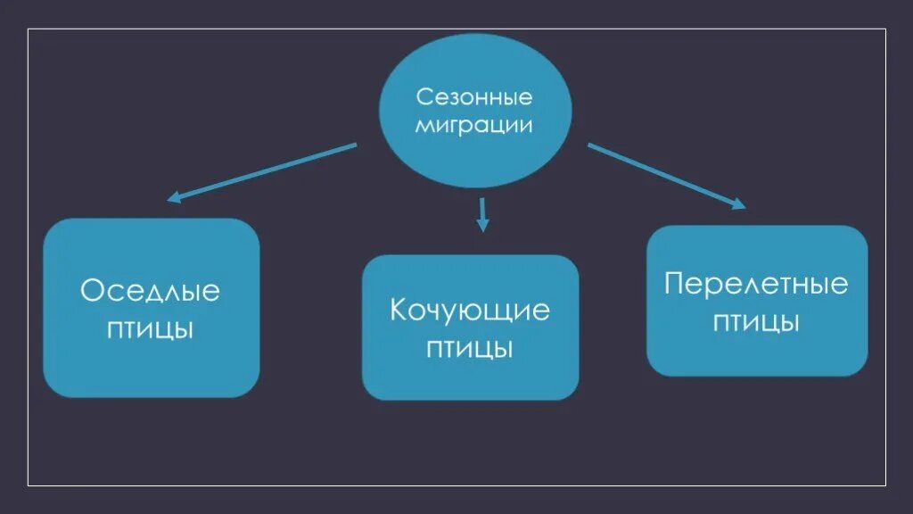 Сезонная миграция виды. Сезонные миграции оседлые. Сезонная миграция населения. Сезонная миграция примеры. Сезонные миграции птиц.