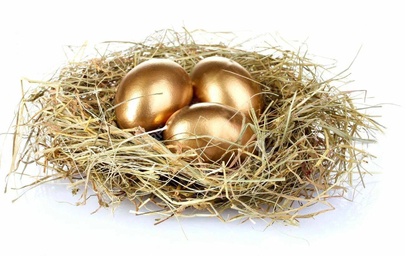 Gold bird s nest. Золотое яйцо. Гнездо с золотыми яйцами. Пасхальные яйца в гнезде. Золотые пасхальные яйца.
