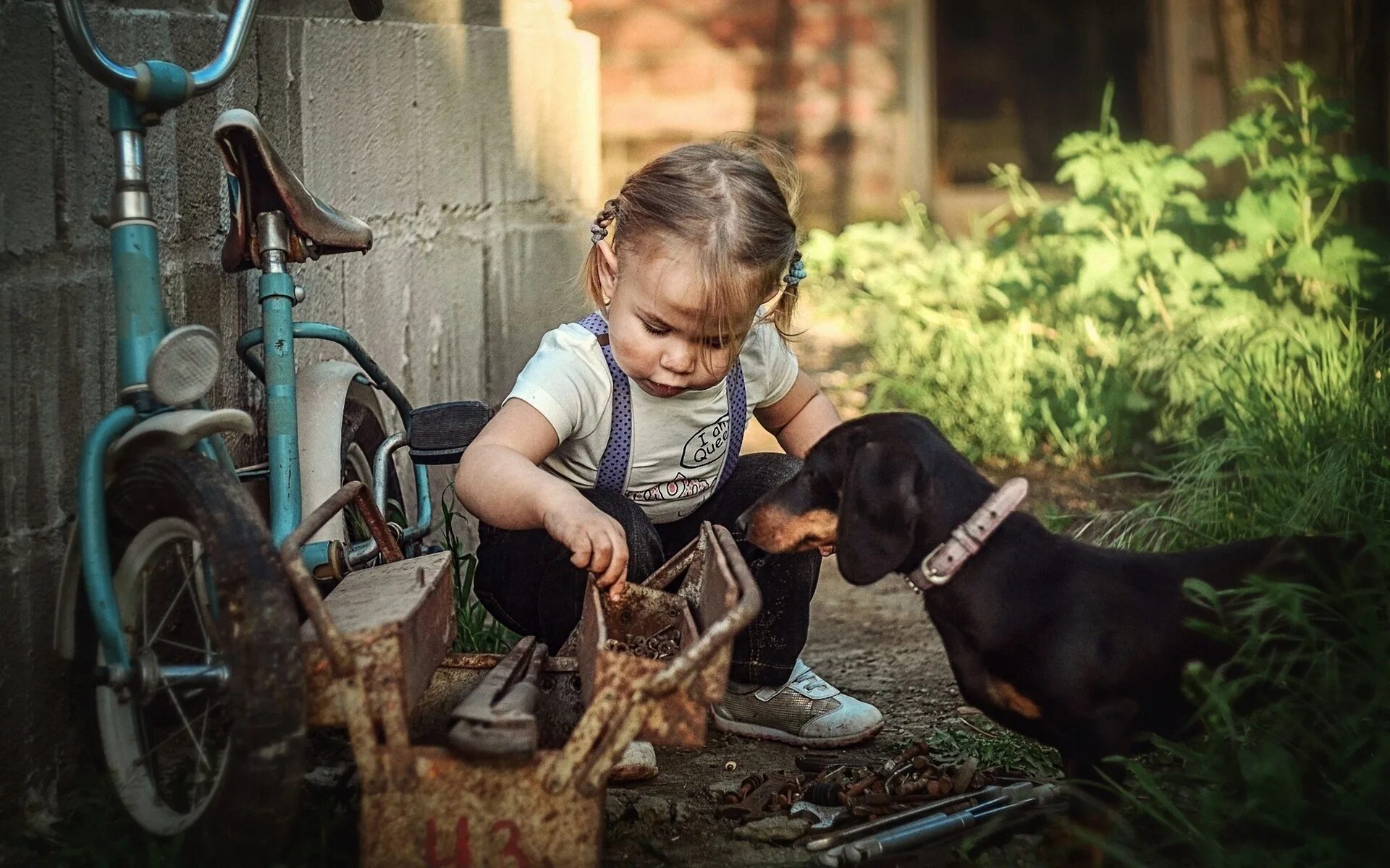 Для детей. Животные. Такса и ребенок. Такса девочка. Фотосессия ребенка с таксой.