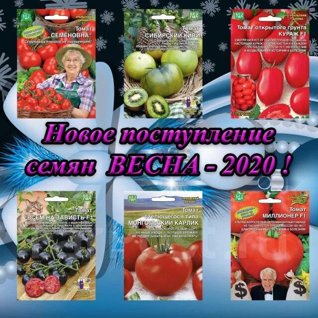 Томат Мегагрон семена. Томат Козула 14 Мегагрон. Семена томатов Семеновна. Томат Семеновна Уральский Дачник. Урожайность томата семеновна