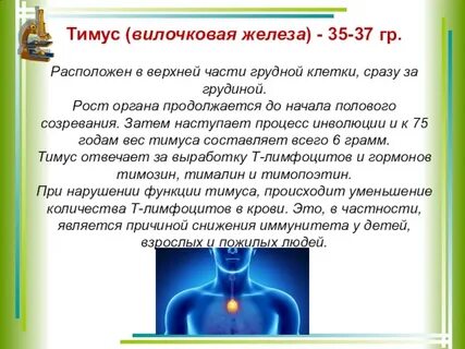 Что значит за грудиной