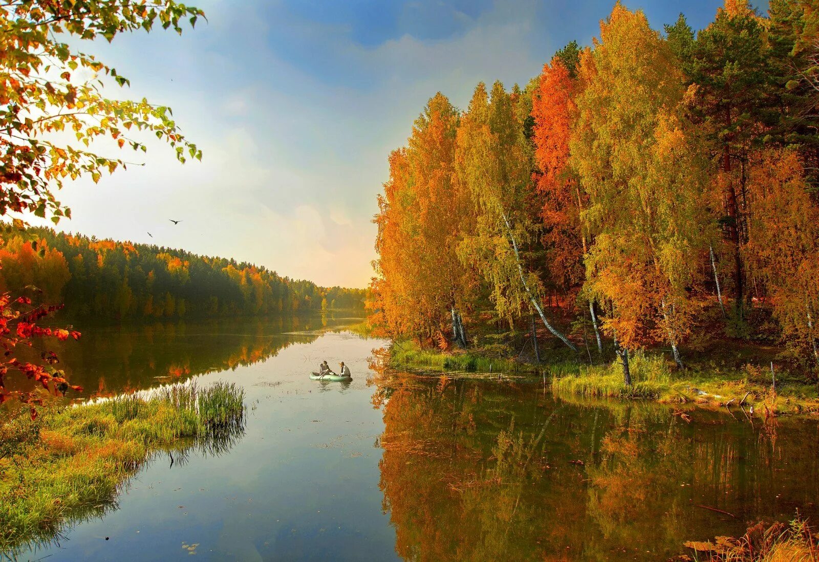 Красота осенней реки. Золотая осень лес река. Природа осенью. Река осенью. Красота осени.