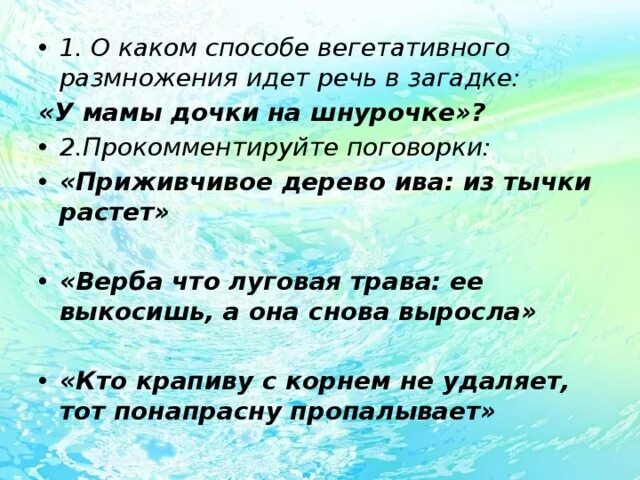 Сызнова наречие. Загадка по теме размножение. у мамы дочки на шнурочке ответ загадка. прокомментируйте поговорки: «приживчивое дерево ива: из тычки ростет. верба что и луговая трава её выкосишь а она сызнова вырастет.