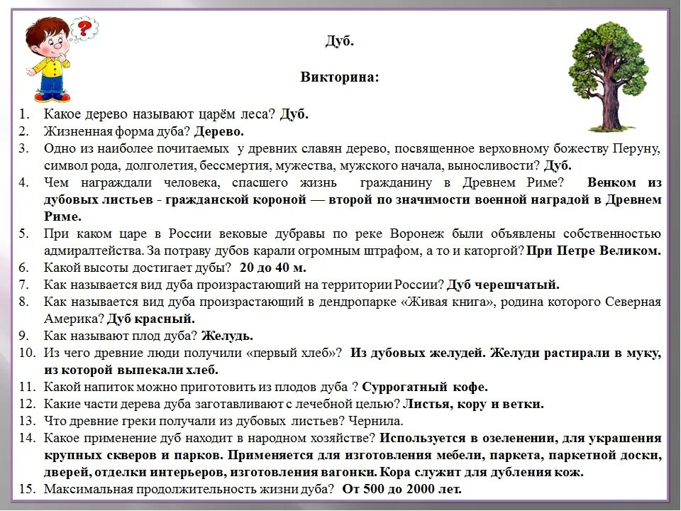 Рассказ о дубе. Описание дуба. Сообщение о дубе. Дуб дерево описание.