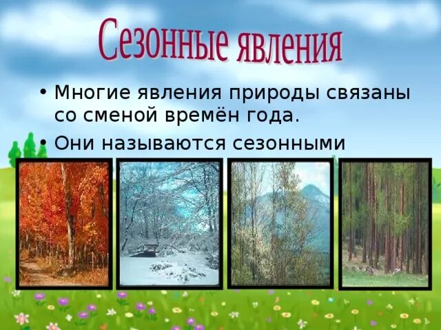 Какие летние явления происходят. Сезонные природные явления 2 класс окружающий мир. Сезонные явленияприродв.. Явления природы сезонные явления. Явления природы презентация.