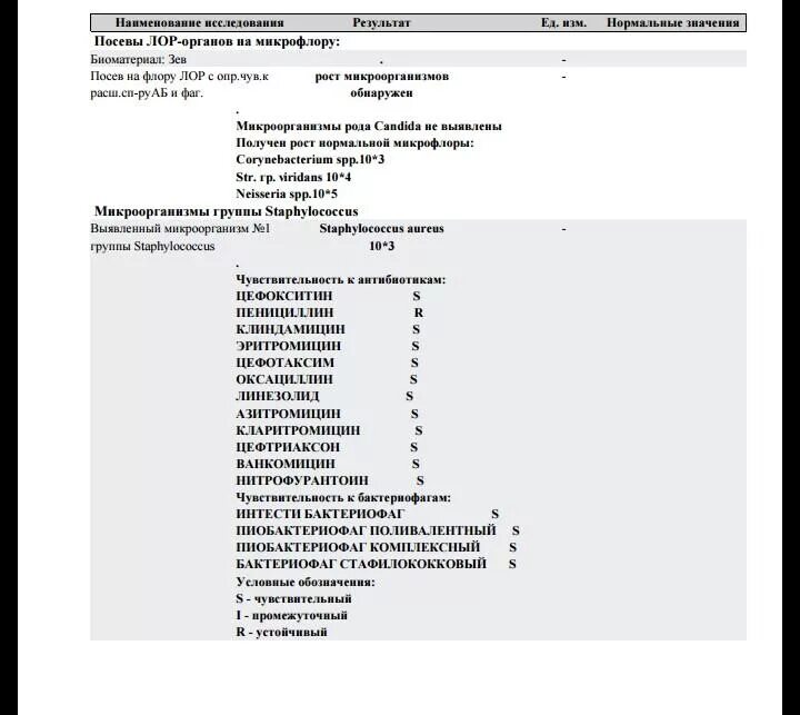 Staphylococcus aureus 10 4. Бак посев зева и носа. Бак посев из зева норма. Бак посев стафилококк анализ. Бак посев из зева на микрофлору норма.