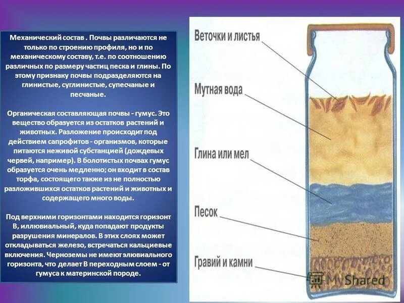 Состав почвы. Механический состав почвы. Механический состав почвы структура почвы. Механический состав почвы 8 класс.