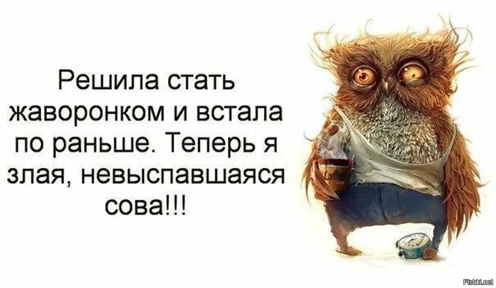 Завтра утром встанем. Учитель в начале года и в конце. Невыспавшаяся Сова. Злая невыспавшаяся Сова. Преподаватель в начале года и в конце.