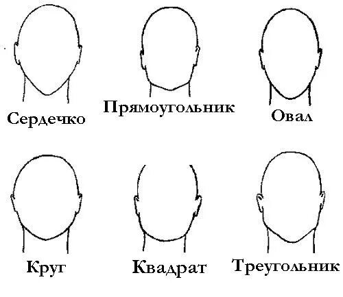 Определить затылок. Как определить форму лица мужчине. Как определить форму головы мужчины. Как понять какая форма лица мужчине. Как определить Тип лица мужчины.