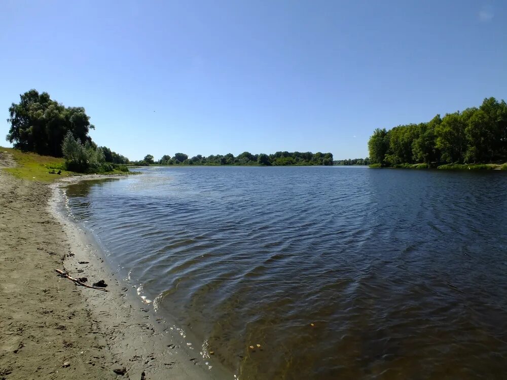 Погода в клепиково алтайский край