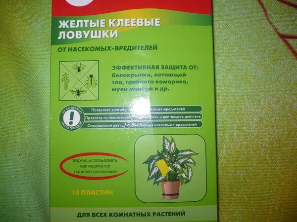 Препарат от мошки в комнатном растении. Средство от мошек в комнатных цветах. От комнатных мушек в цветах средство. Препараты от вредителей комнатных цветов.