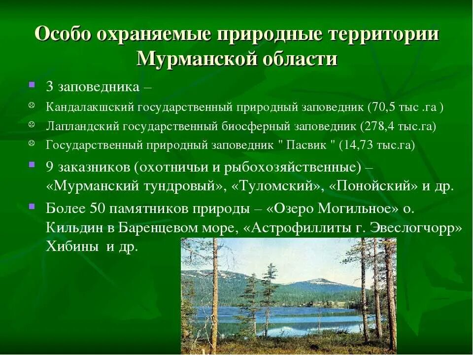 Особо охраняемые территории россии сообщение 8 класс. Охраняемые территории природы. Охраняемые территории заповедники. Охрана природного заказника. ООПТ памятники природы.