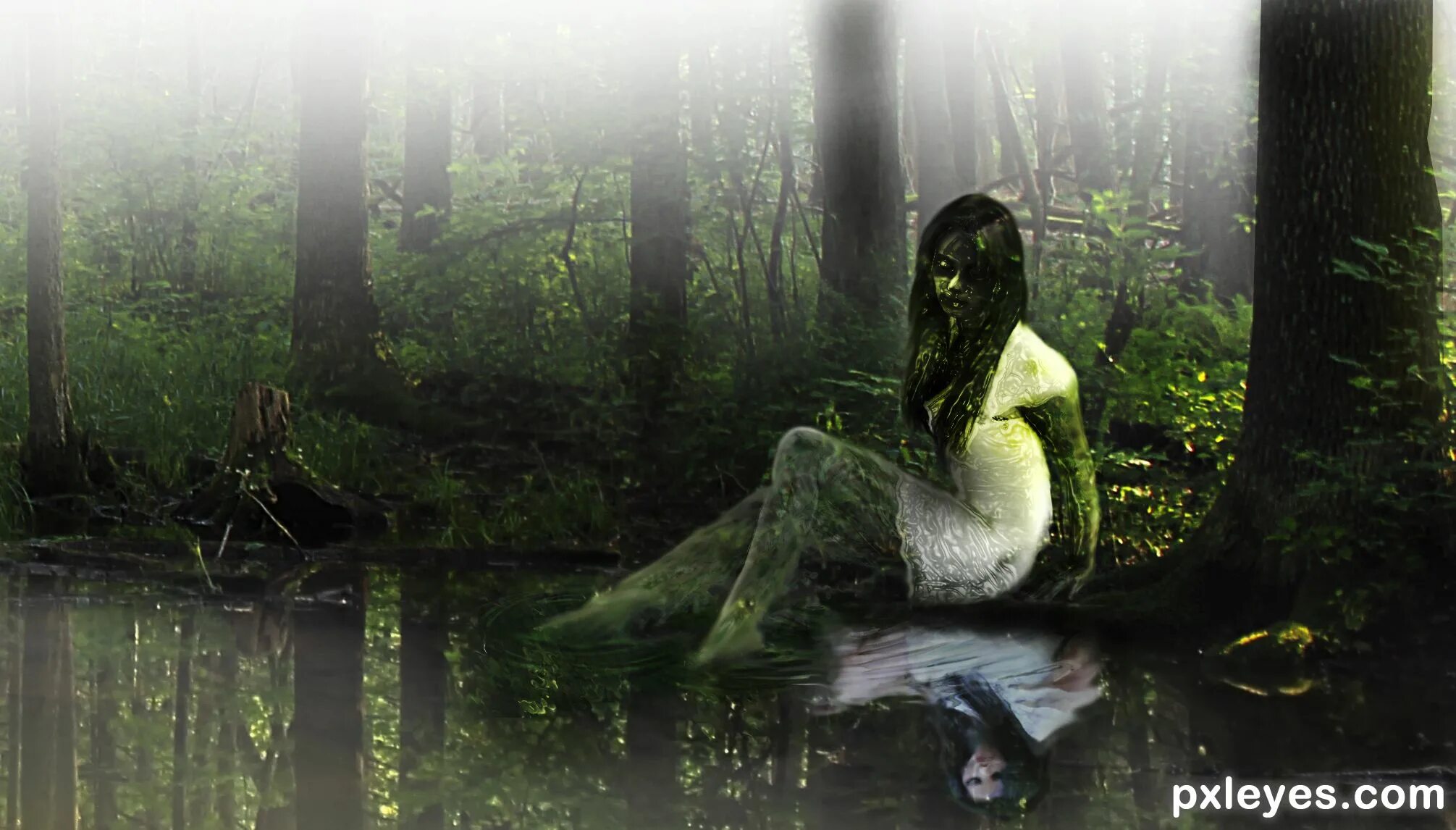 приведения на воде