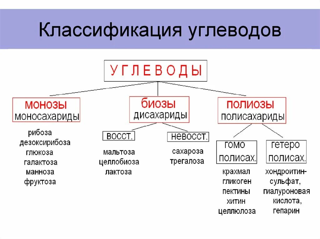 Классификация углеводов схема. Схема углеводов биология 10 класс. Схема классификации углеводов биология 9 класс. Таблица классификация углеводов биология.