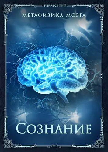 Сознание и мозг. Метафизика мозга. Сознательный мозг. Физика и метафизика. 1 сознание и мозг