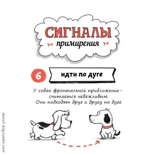 Собачий сигнал. Сигналы примирения у собак. сигналы пртмерения у собак. знаки примирения у собак. три сигнала примирения собаки.