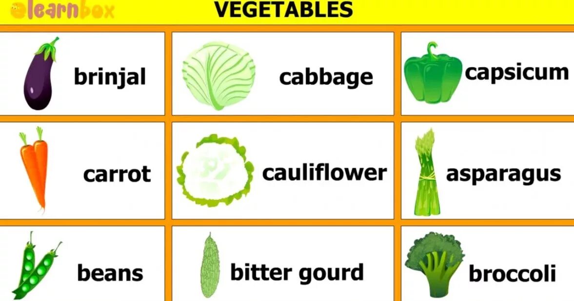 Vegetable family. Vegetables for Kids. Vegetables list for Kids. Vegetables names for Kids. Vegetables in English for Kids.