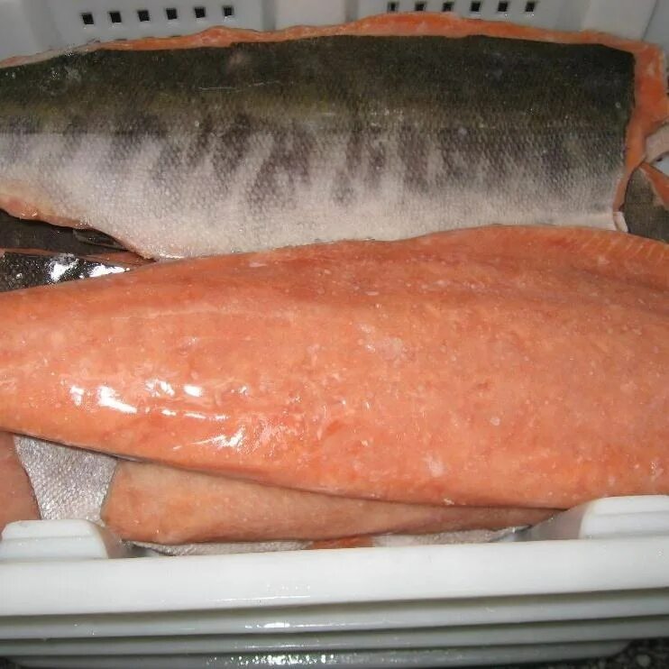 Голец какого цвета мясо. Голец рыба филе. голец мясо. голец цвет мяса рыба. голец цвет мяса.