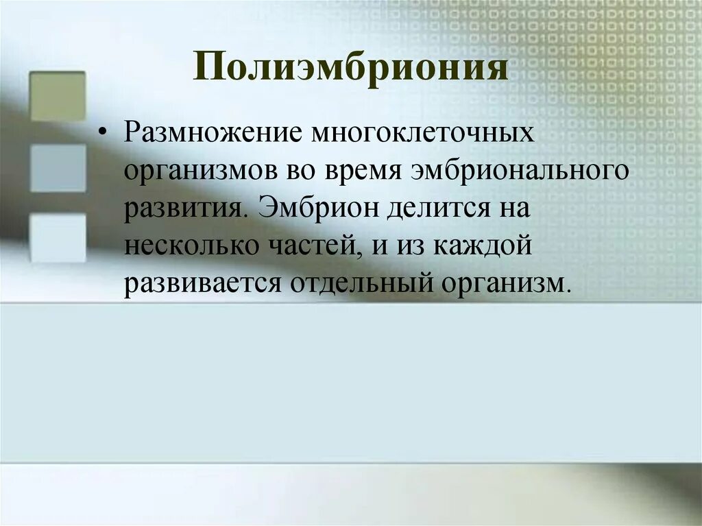 Полиэмбриония какое размножение. Полиэмбриония. Полиэмбриония размножение. Полиэмбриония бесполое размножение. Полиэмбриония у человека.
