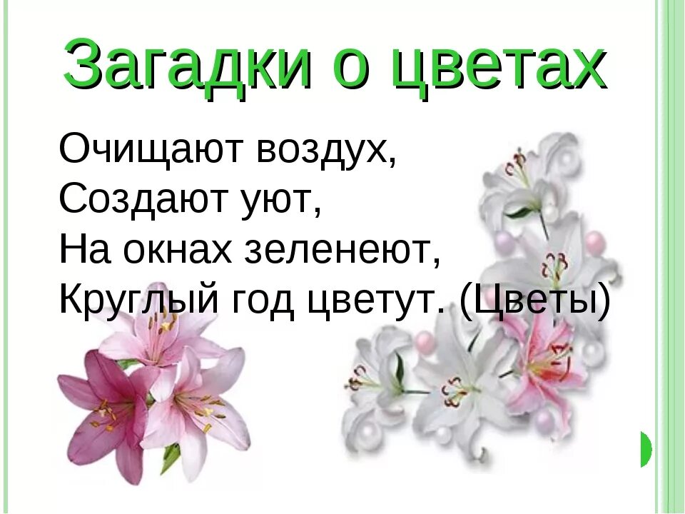 Загадки про цветы. Загадки про цветы для детей. Загадки про цветы с ответами. Загадки про цветы для дошкольников.