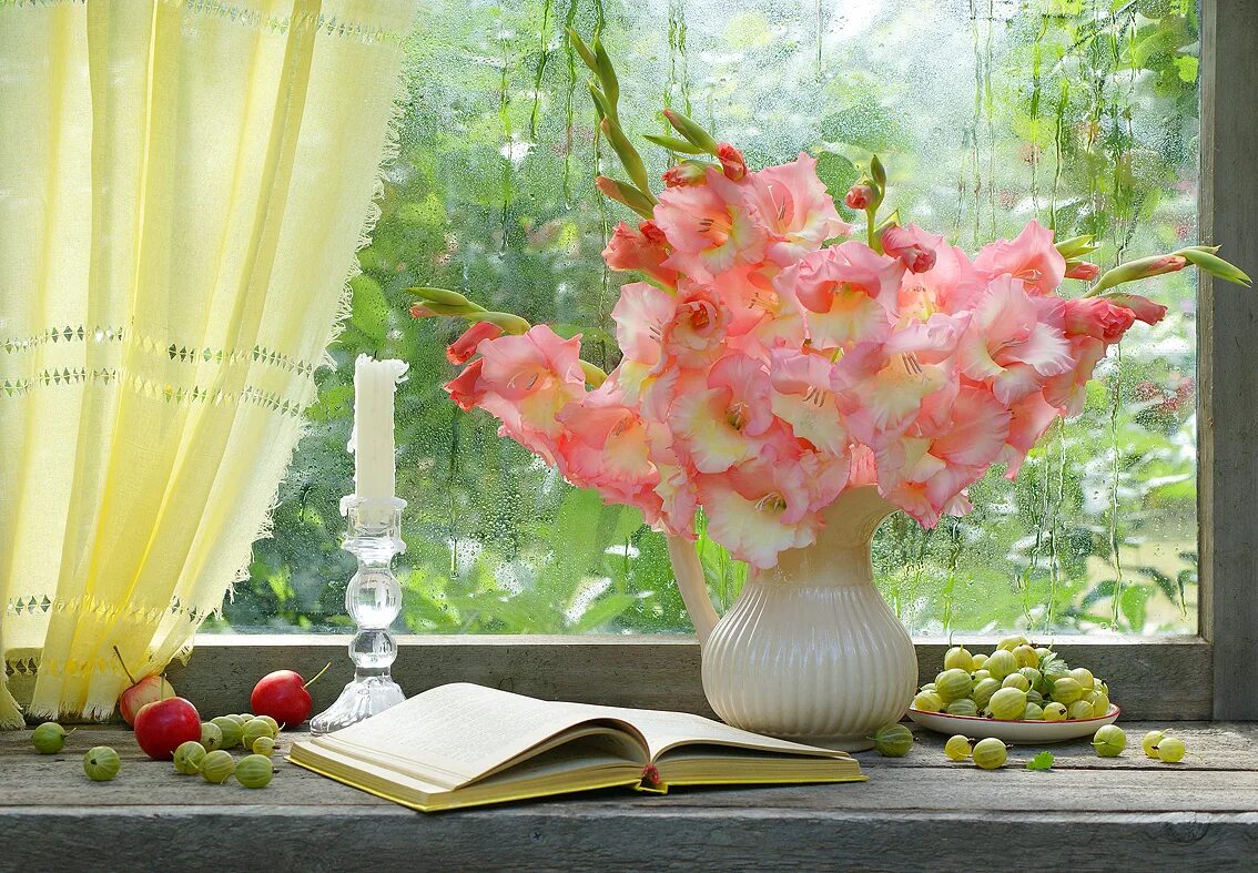 доброе утро гладиолусы. гладиолус старфайтер. гладиолусы в интерьере. августовский натюрморт фото. хризантемы с гладиолусами.