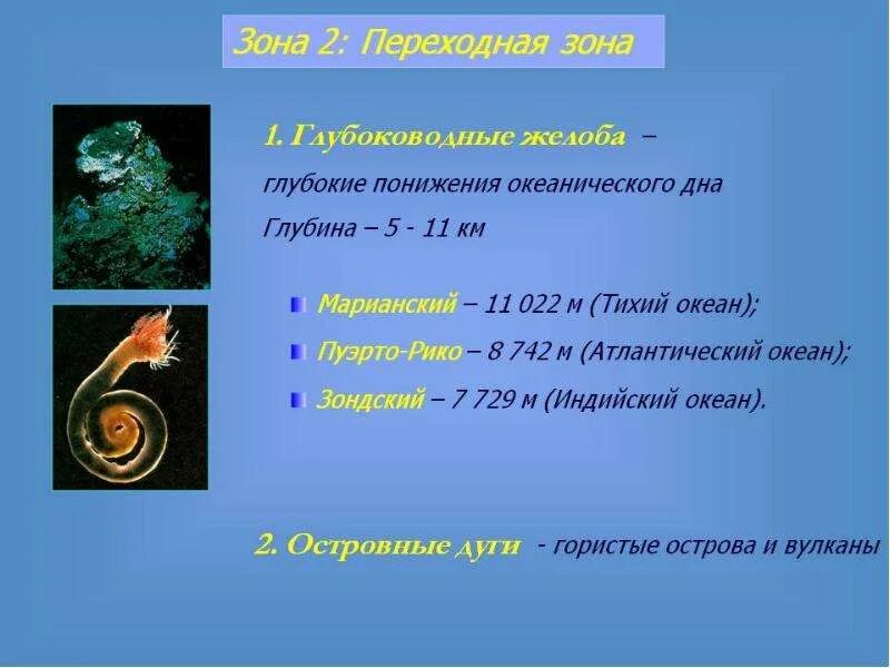 Что означает переходная зона. Что означает переходная зона. Что означает переходная зона. Что означает переходная зона. Переходная зона раскраска.