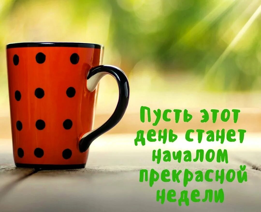 Позитивного утра хорошего дня. Позитивного дня и хорошего настроения. позитивные пожелания. продуктивного дня и хорошего настроения. позитивного настроения и удачного дня.