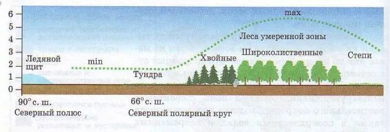 последовательность биологической продуктивности природных зон. первичная продуктивность экосистемы. первичная продуктивность экосистемы. последовательность биологической продуктивности природных зон. продуктивность биогеоценоза.