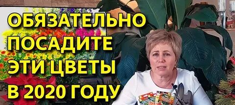 Зарубина сад