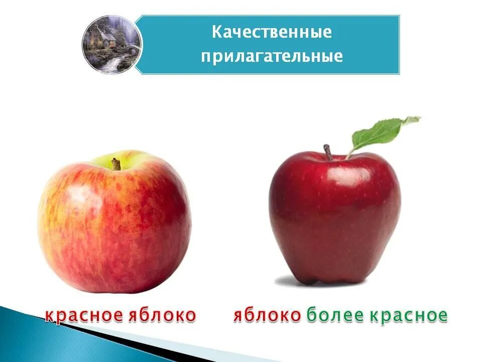 Яблоко какое имя прилагательное. Яблоко красное и яблоко более красное. Прилагательные к яблоку. Характеристики красного яблока. Яблоко прилагательное.