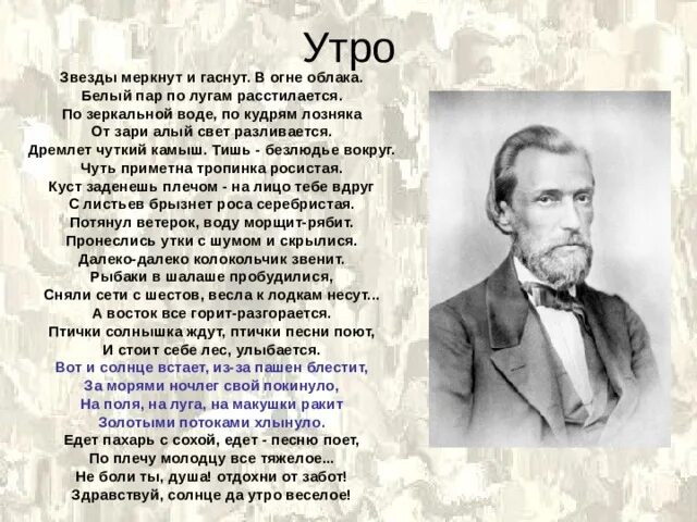 От зари алый свет разливается. Стихотворение Ивана Саввича Никитина утро. Стихотворение утро Никитин.