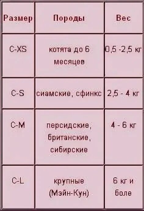 Вес котенка в 2. Вес котенка по месяцам таблица. Вес котенка сфинкса по месяцам. Вес котят сфинксов по месяцам таблица. Размер котенка сфинкс одежда.