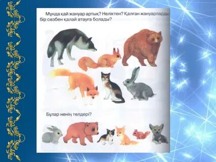 Дәрігер оның бүкіл кискасын жалады