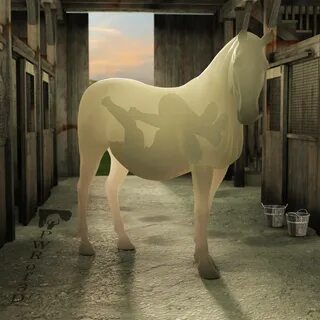 Lara with horse x ray