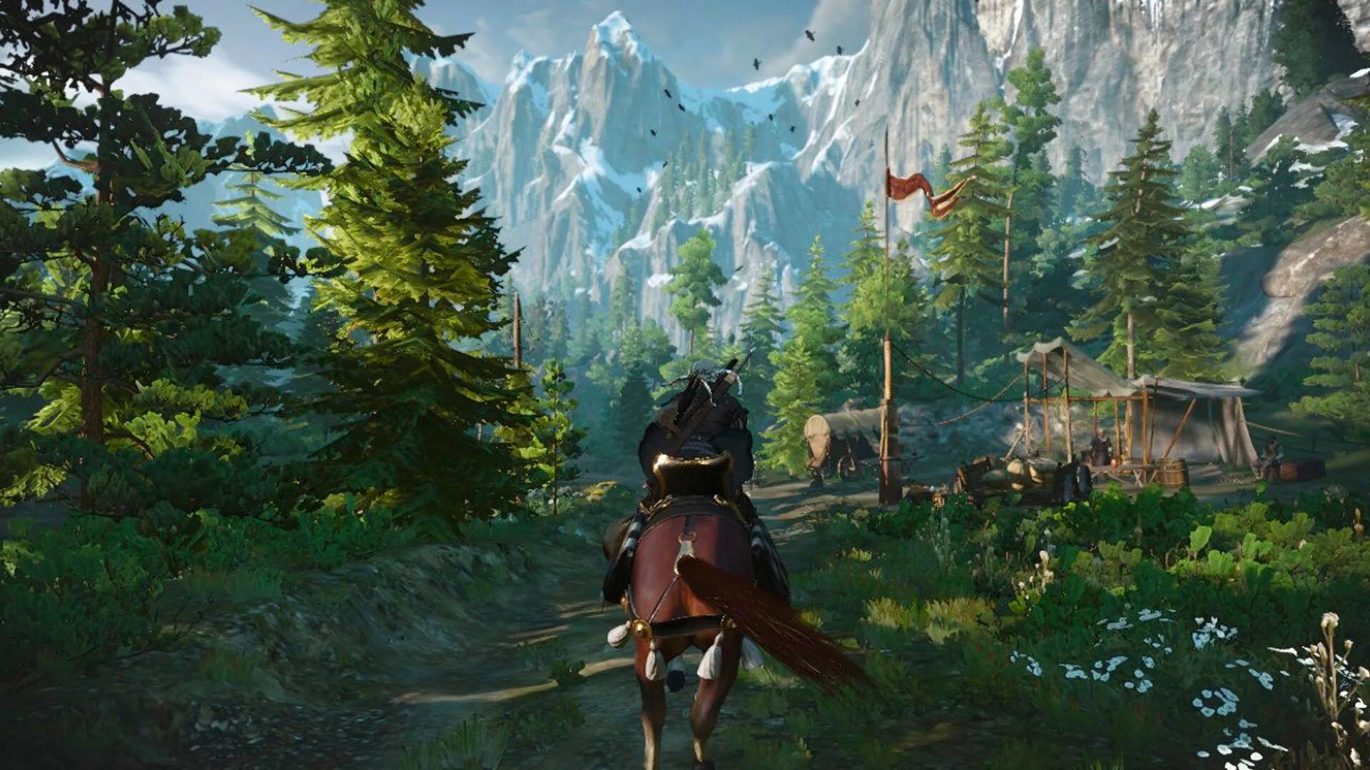 Ведьмак 3: Дикая охота. Ведьмак на Нинтендо свитч. Witcher 3 Nintendo Switch. The Witcher 3 на Нинтендо свитч.