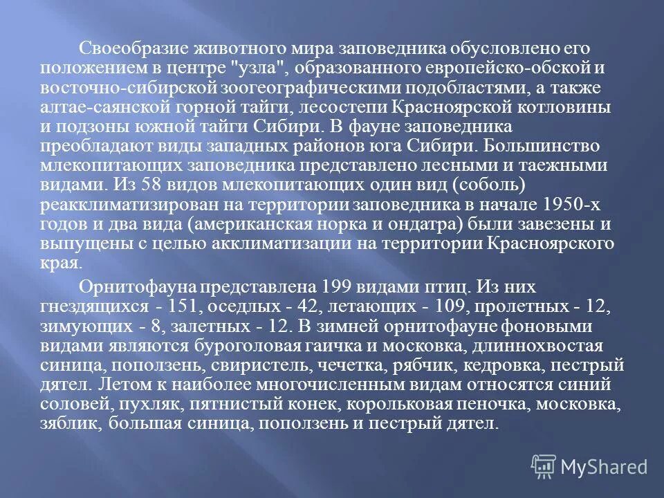 Своеобразие человека. Причины своеобразия животного и растительного мира в австралии. Сумчатый дьявол природная зона. В чём своеобразие животного мира в австралии. Своеобразие животных это.