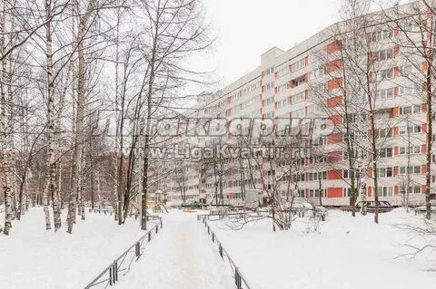 Аллея котельникова