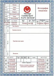 Как выглядит тапа