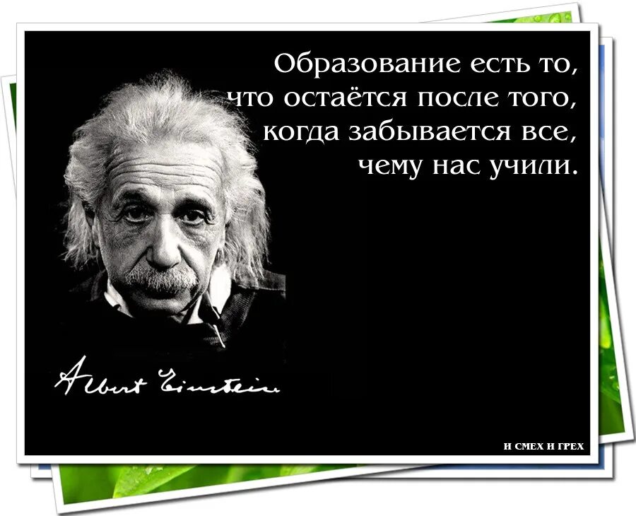 Афоризмы про образование. Высказывания об образовании. Фразы про образование. Цитаты про образование. Образование слова величайший