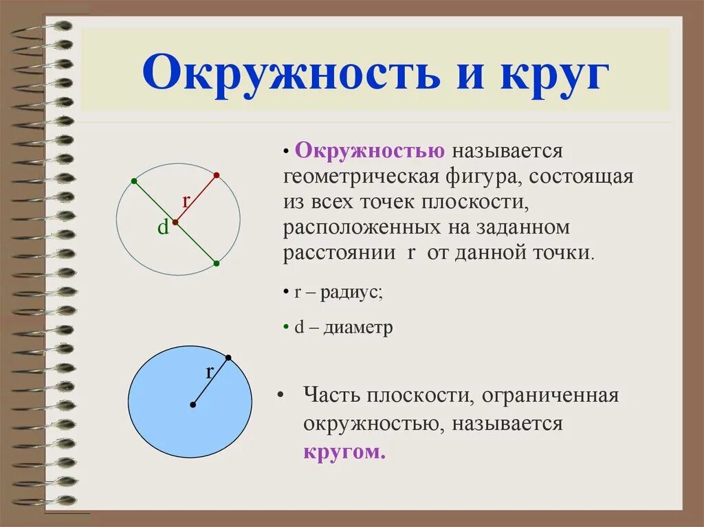 Круг другое название. Окружность. Части круга названия. Понятие окружности. Круги и окружности.