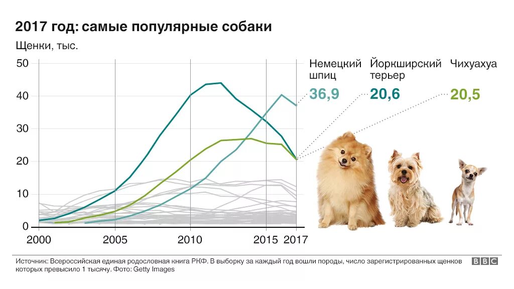 Статистика собака россия